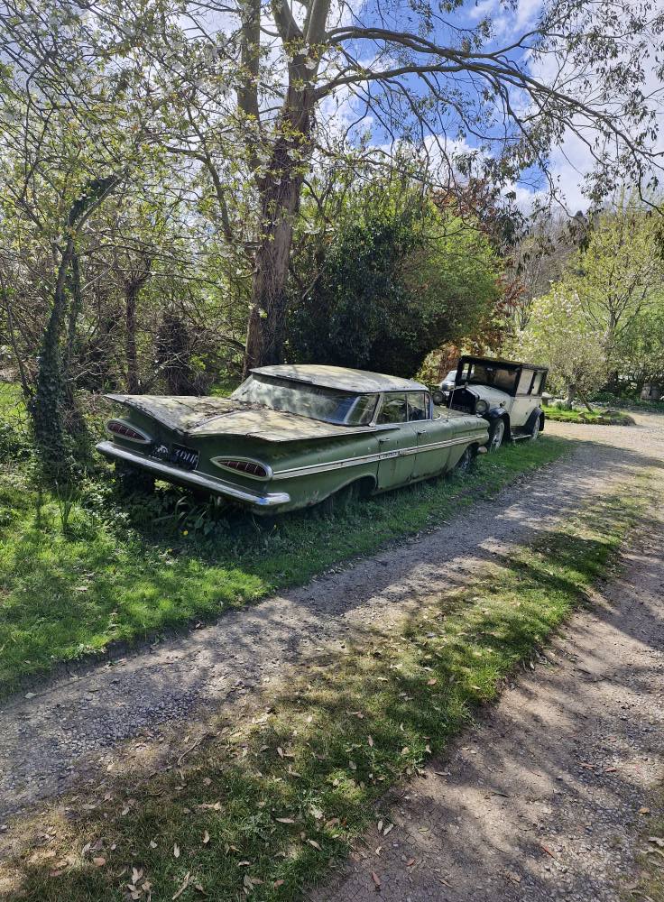 Barn-find auction